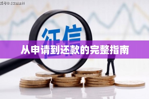 新田从申请到还款的完整指南