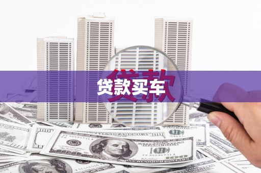 新田贷款买车