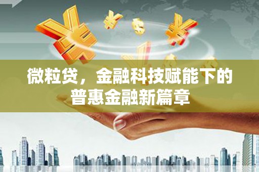 新田微粒贷，金融科技赋能下的普惠金融新篇章