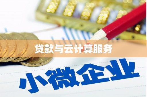 新田贷款与云计算服务