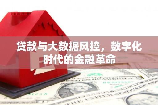 新田贷款与大数据风控，数字化时代的金融革命