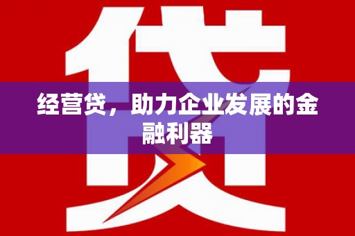 新田经营贷，助力企业发展的金融利器
