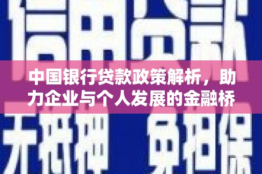 新田中国银行贷款政策解析，助力企业与个人发展的金融桥梁