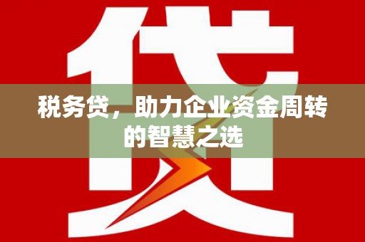 新田税务贷，助力企业资金周转的智慧之选