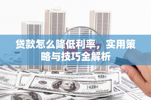 新田贷款怎么降低利率，实用策略与技巧全解析