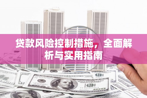 新田贷款风险控制措施，全面解析与实用指南