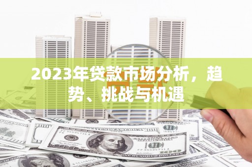 新田2023年贷款市场分析，趋势、挑战与机遇