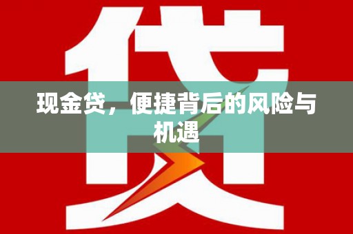 新田现金贷，便捷背后的风险与机遇