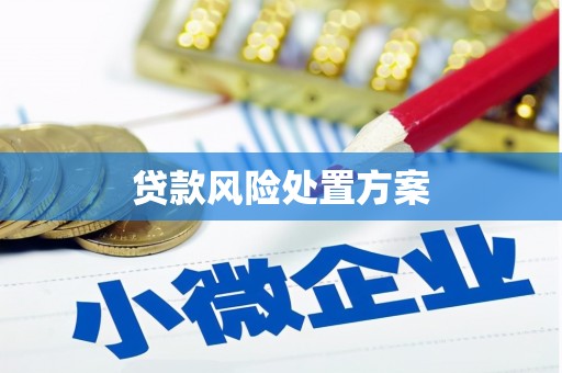 新田贷款风险处置方案