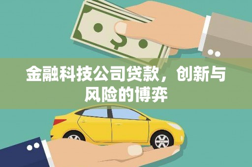 新田金融科技公司贷款，创新与风险的博弈
