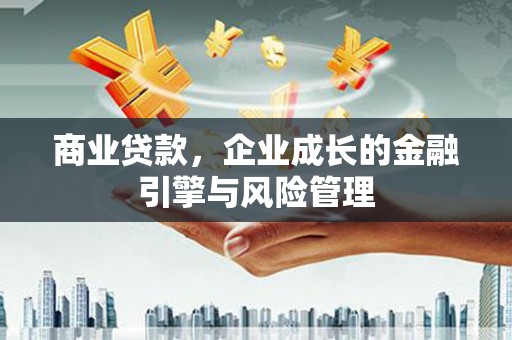 新田商业贷款，企业成长的金融引擎与风险管理