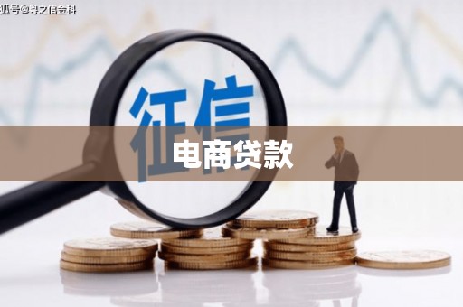 新田电商贷款
