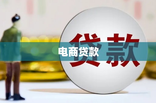 新田电商贷款