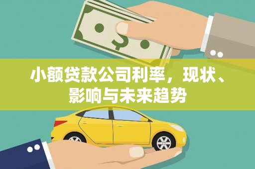 新田小额贷款公司利率，现状、影响与未来趋势