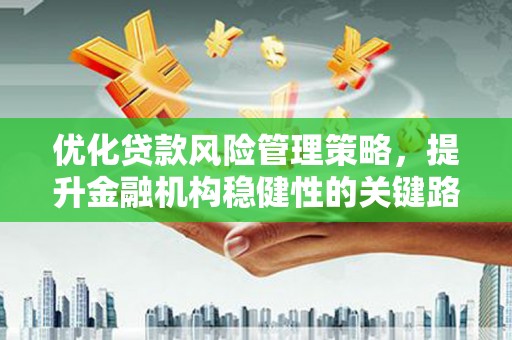 新田优化贷款风险管理策略，提升金融机构稳健性的关键路径