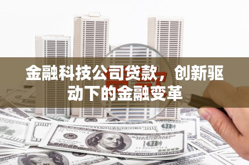 新田金融科技公司贷款，创新驱动下的金融变革