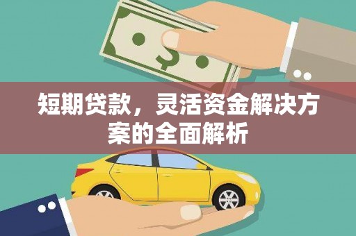 新田短期贷款，灵活资金解决方案的全面解析