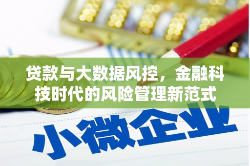 新田贷款与大数据风控，金融科技时代的风险管理新范式