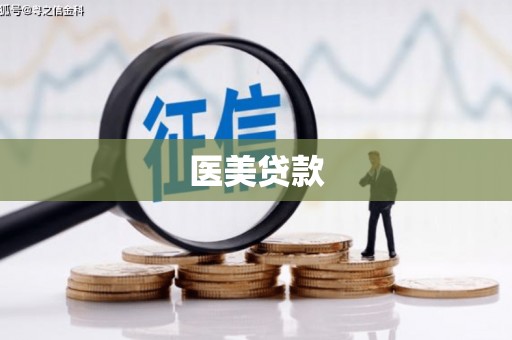 新田医美贷款