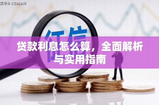 新田贷款利息怎么算，全面解析与实用指南