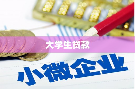 新田大学生贷款