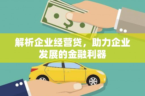 新田解析企业经营贷，助力企业发展的金融利器