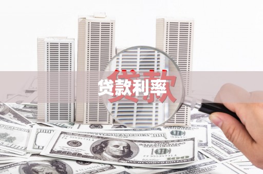 新田贷款利率