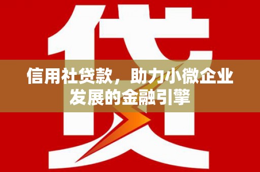 新田信用社贷款，助力小微企业发展的金融引擎