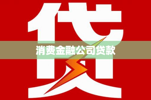 新田消费金融公司贷款