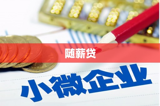 新田随薪贷