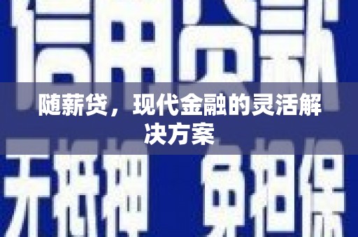 新田随薪贷，现代金融的灵活解决方案