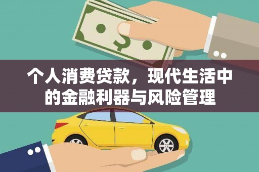 新田个人消费贷款，现代生活中的金融利器与风险管理