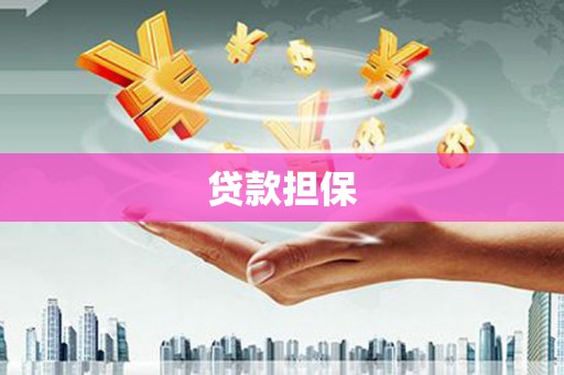 新田贷款担保