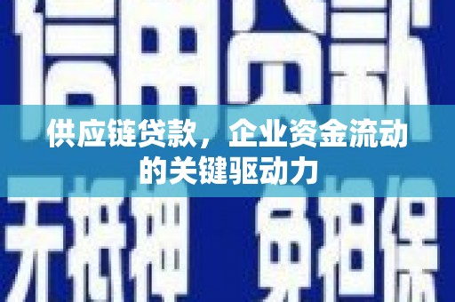 新田供应链贷款，企业资金流动的关键驱动力