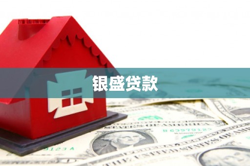 新田银盛贷款
