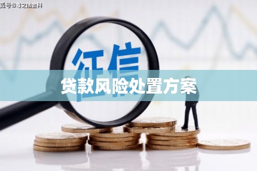 新田贷款风险处置方案