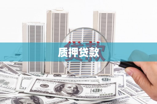 新田质押贷款