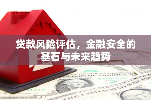 新田贷款风险评估，金融安全的基石与未来趋势