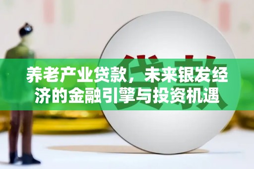 新田养老产业贷款，未来银发经济的金融引擎与投资机遇