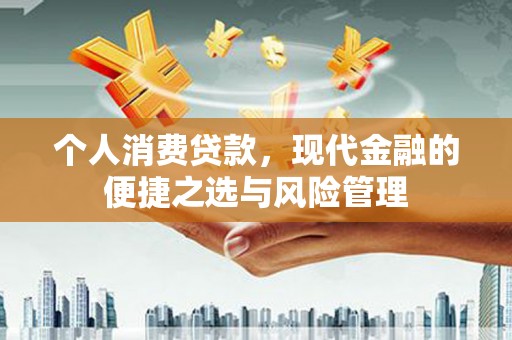 新田个人消费贷款，现代金融的便捷之选与风险管理