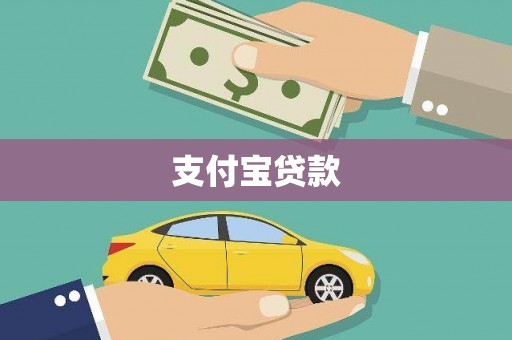 新田支付宝贷款