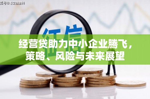 新田经营贷助力中小企业腾飞，策略、风险与未来展望