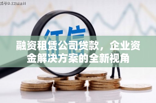 新田融资租赁公司贷款，企业资金解决方案的全新视角