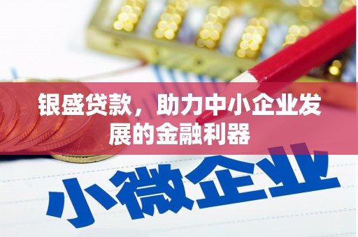 新田银盛贷款，助力中小企业发展的金融利器
