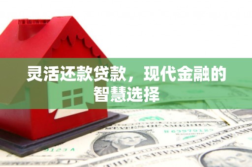 新田灵活还款贷款，现代金融的智慧选择
