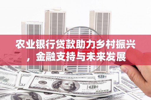 新田农业银行贷款助力乡村振兴，金融支持与未来发展