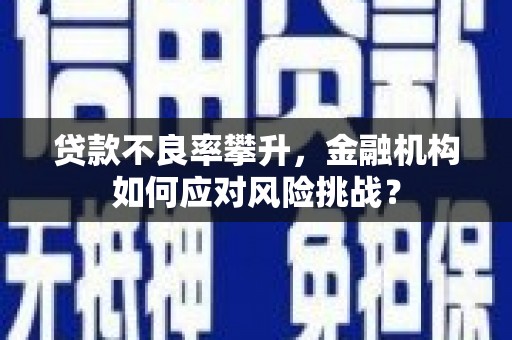 新田贷款不良率攀升，金融机构如何应对风险挑战？