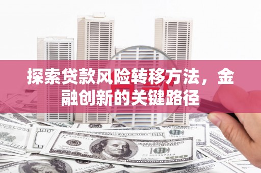 新田探索贷款风险转移方法，金融创新的关键路径