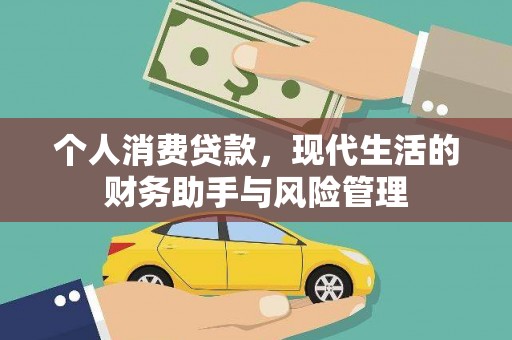 新田个人消费贷款，现代生活的财务助手与风险管理