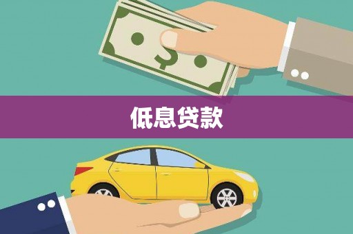 新田低息贷款
